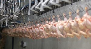 Pneumatic controlled air valves for the poultry